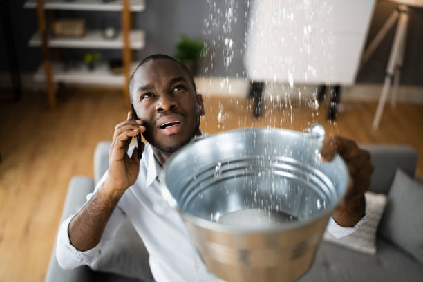 Best Flood restoration services  in Fairlea, WV