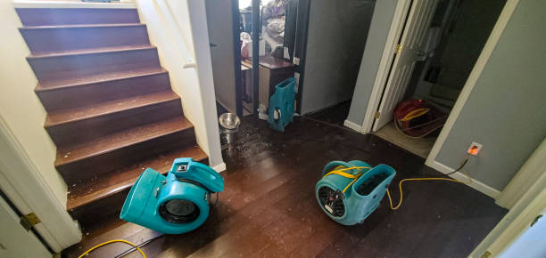 Best Residential water damage restoration  in Fairlea, WV