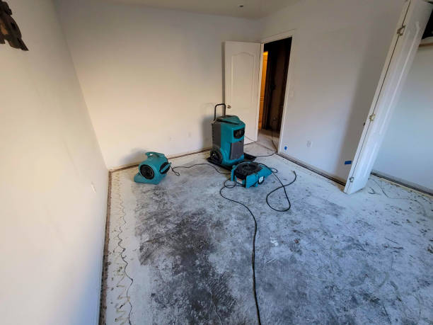 Best Water damage cleanup near me  in Fairlea, WV