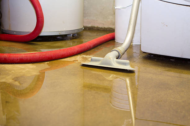 Best Commercial water damage restoration  in Fairlea, WV